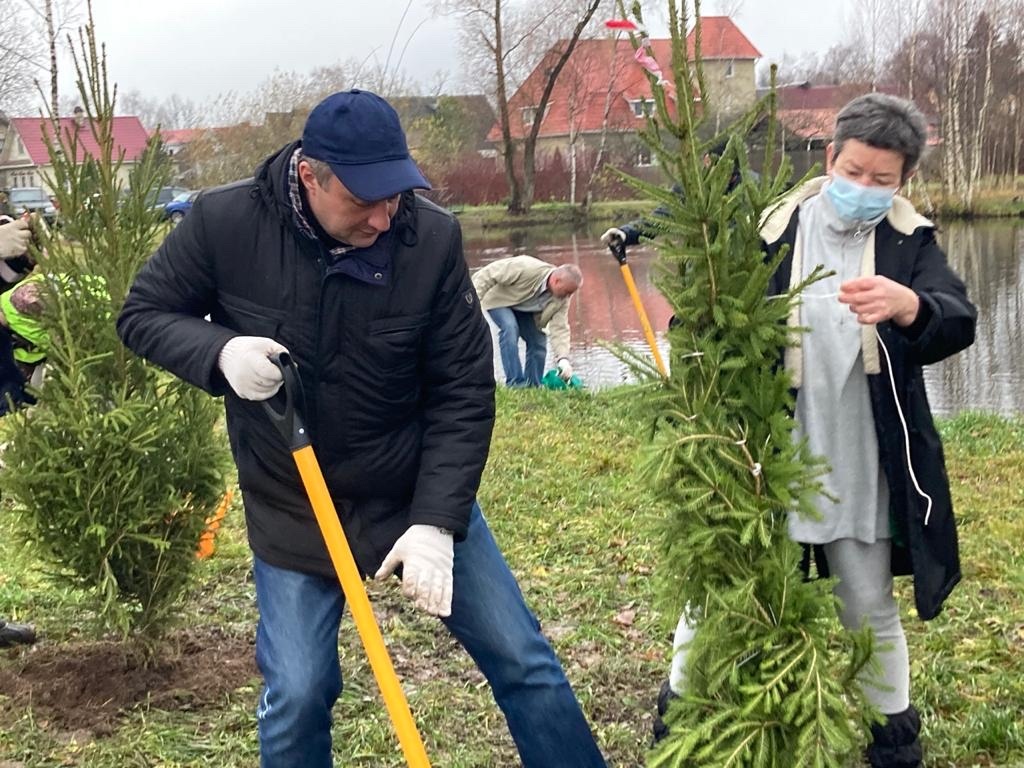 4 ноября, в День народного единства депутаты нашего Муниципального Совета высадили 10 елей на территории муниципального сквера у водоёма Глинка на улице Дружба.